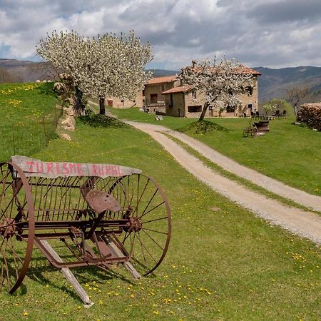 Can Gallo Llanars Εξωτερικό φωτογραφία