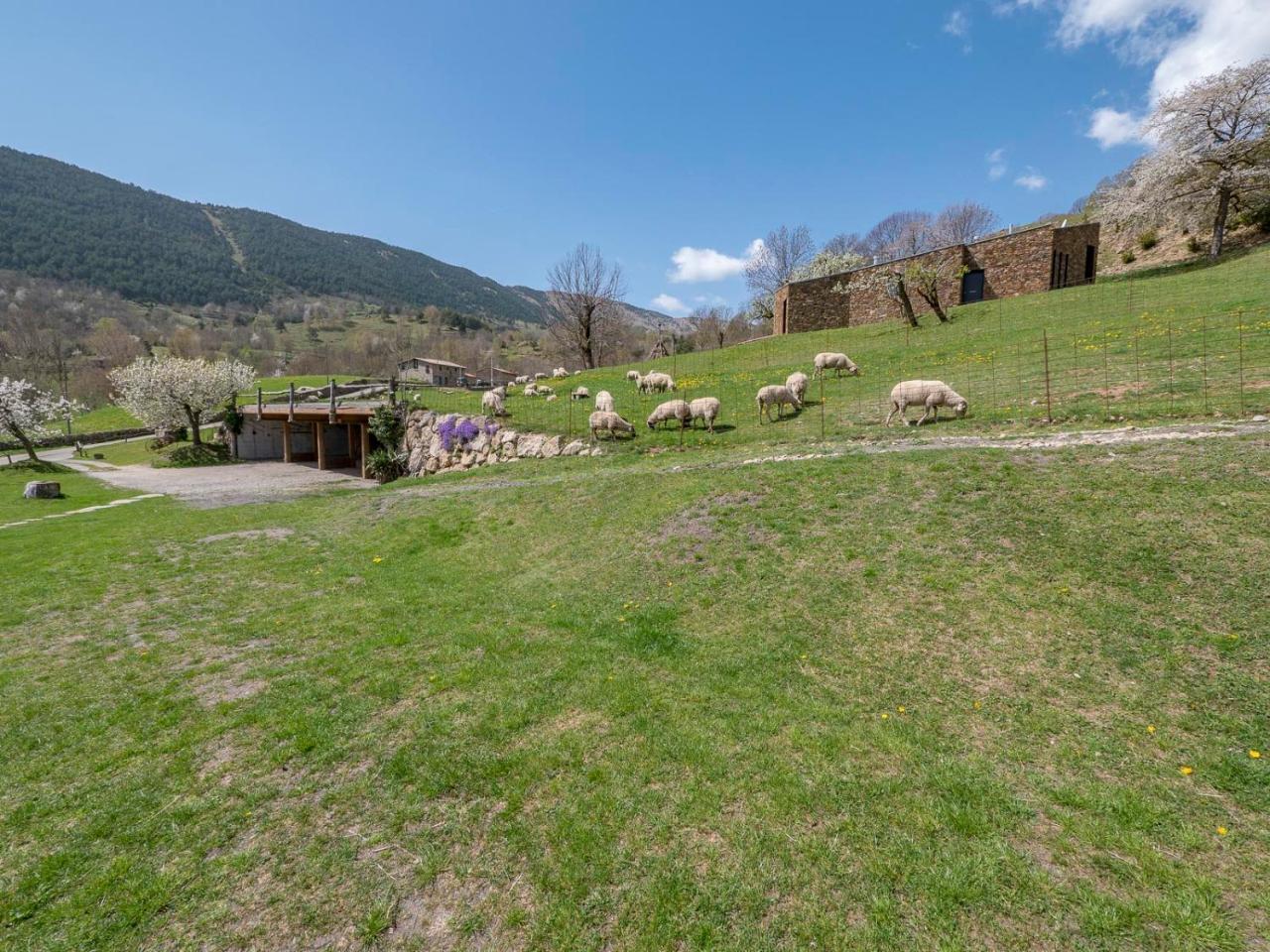 Can Gallo Llanars Εξωτερικό φωτογραφία